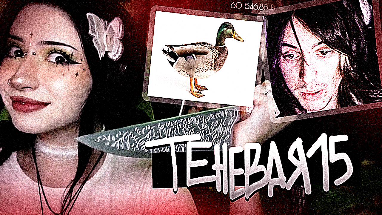 699cf411d7424_1771893777 - изображение на LocalQQ