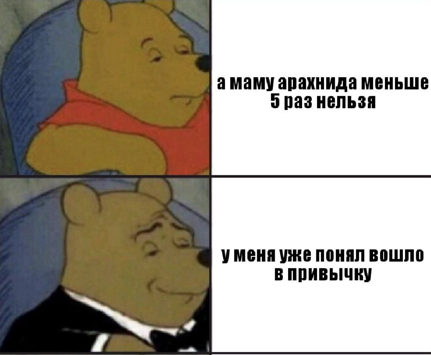 Снимок экрана 2026-05-20 в 23.16.30 - изображение на LocalQQ