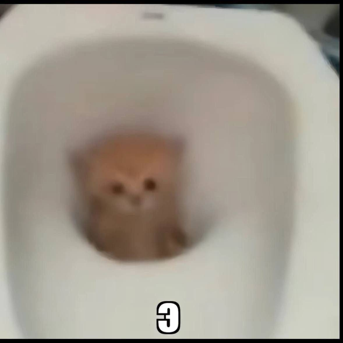 image - изображение на LocalQQ