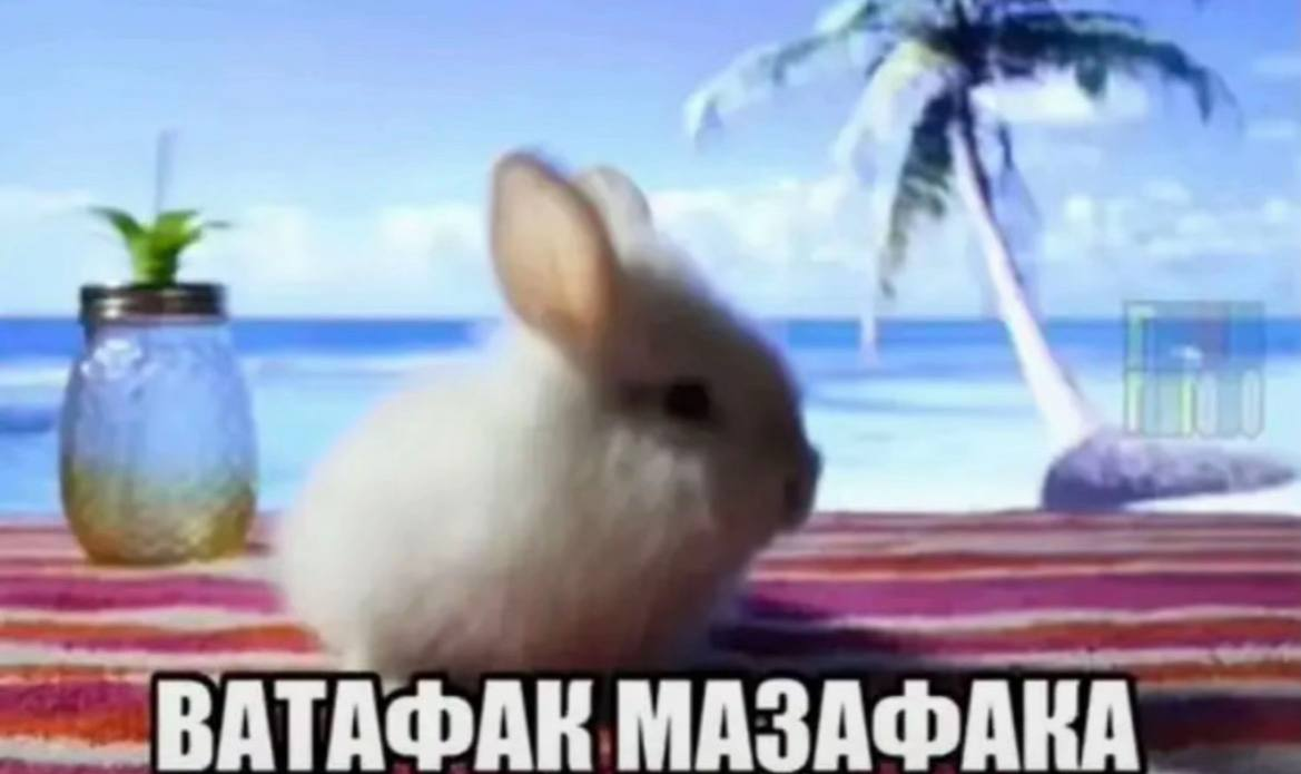 image - изображение на LocalQQ