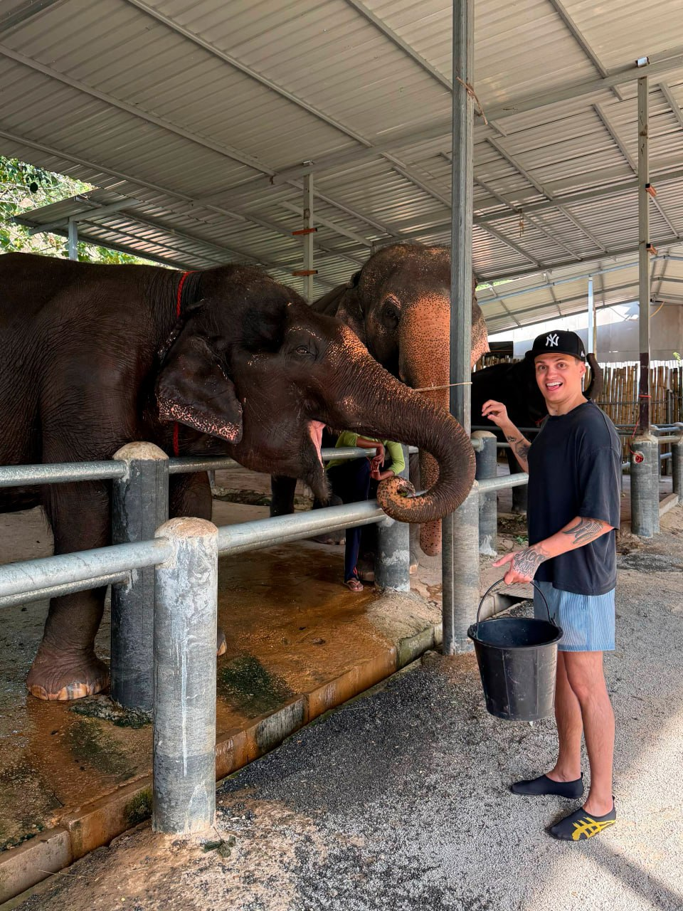 69713e8bcf5ea_1769029259 - изображение на LocalQQ