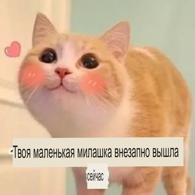 image - изображение на LocalQQ