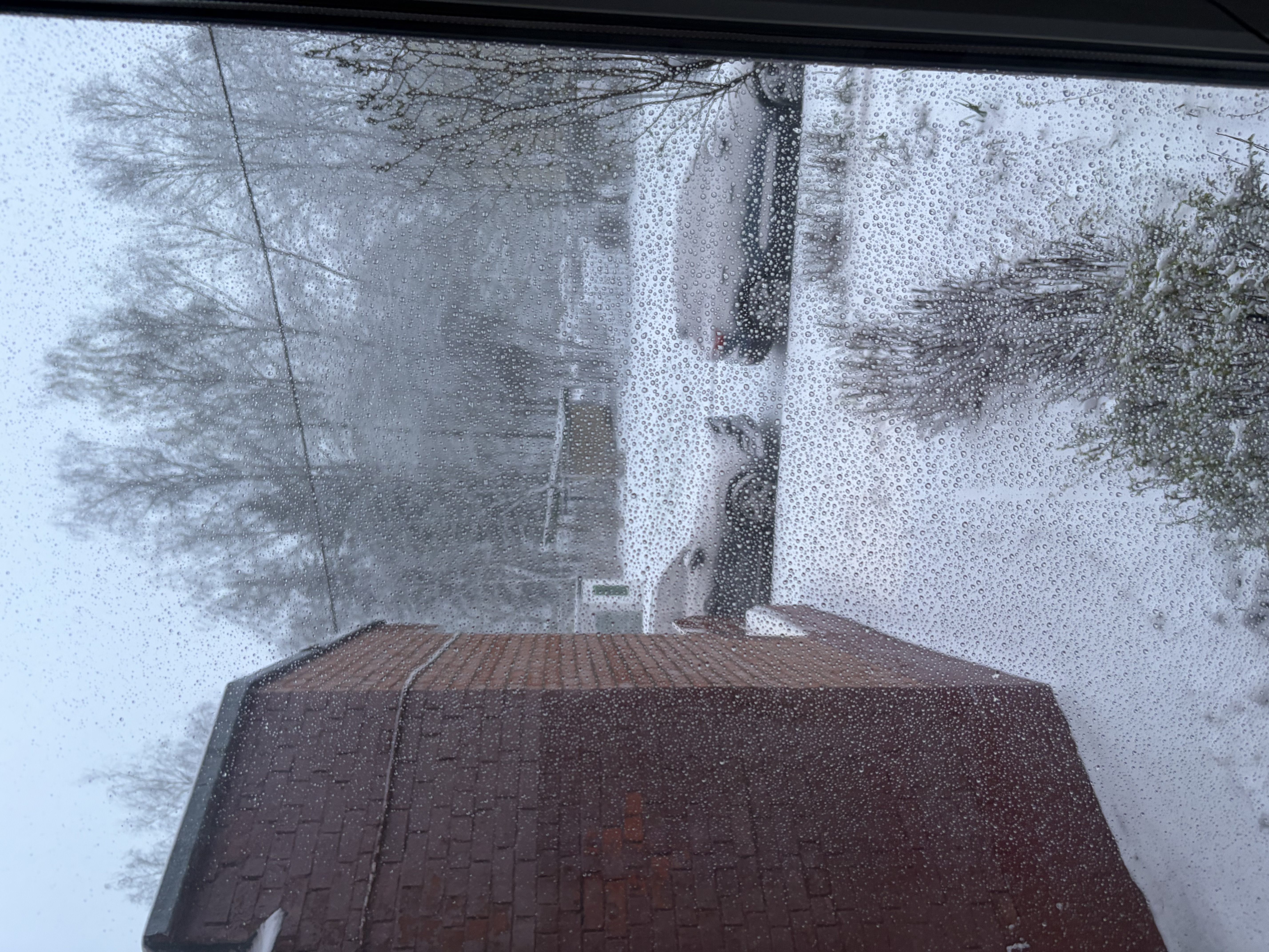 IMG_1927 - изображение на LocalQQ