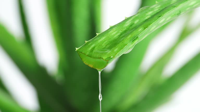 6930b92a778c6_1764800810 - изображение на LocalQQ