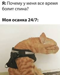 698116b6f13dd_1770067638 - изображение на LocalQQ