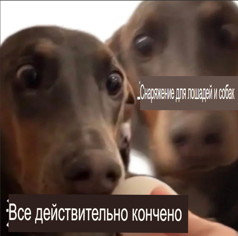 image - изображение на LocalQQ