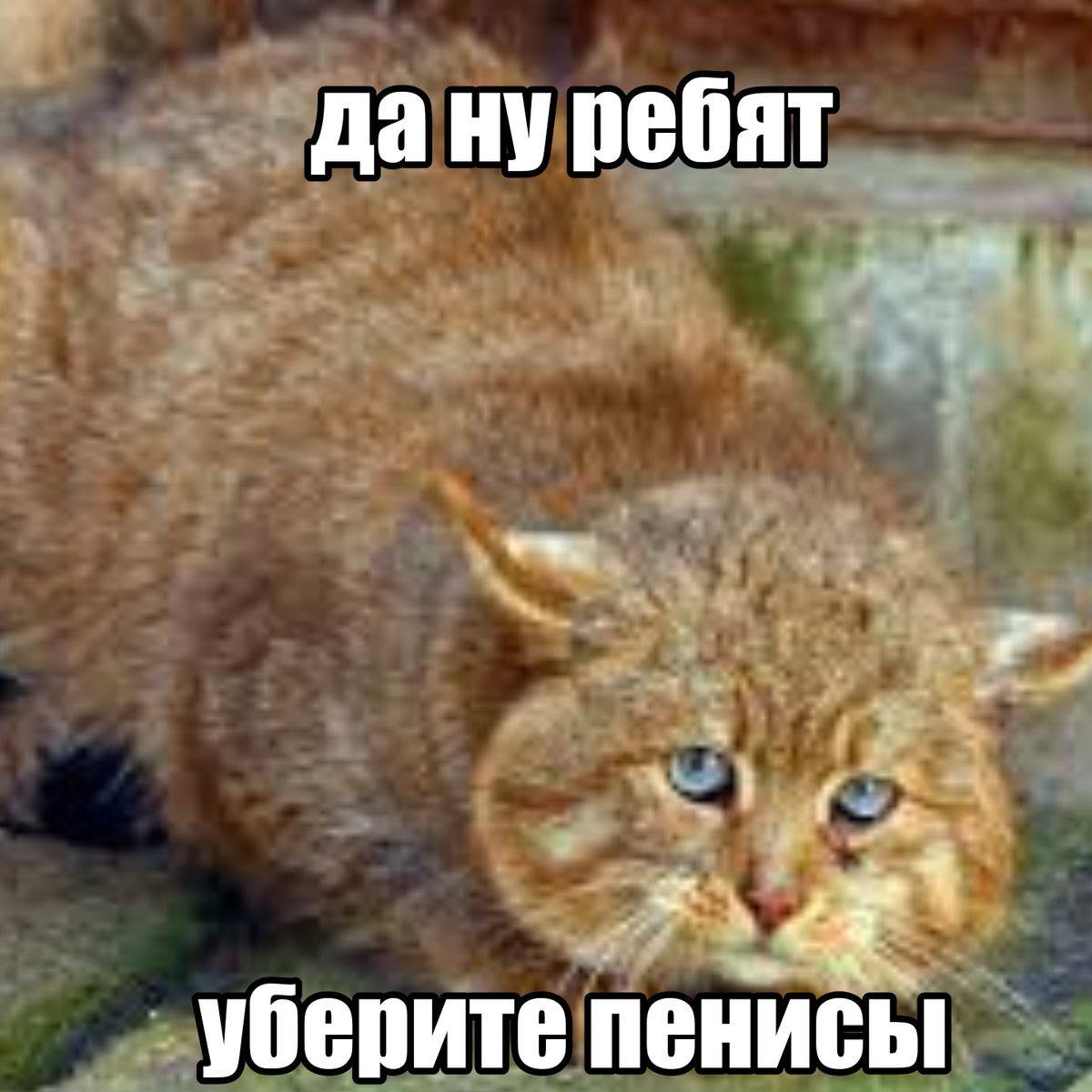 6972936a0e4ac_1769116522 - изображение на LocalQQ