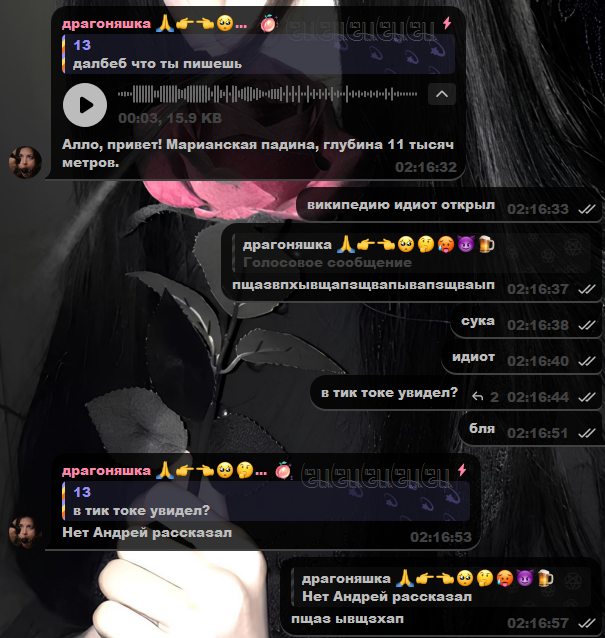 69813e9c4a09b_1770077852 - изображение на LocalQQ