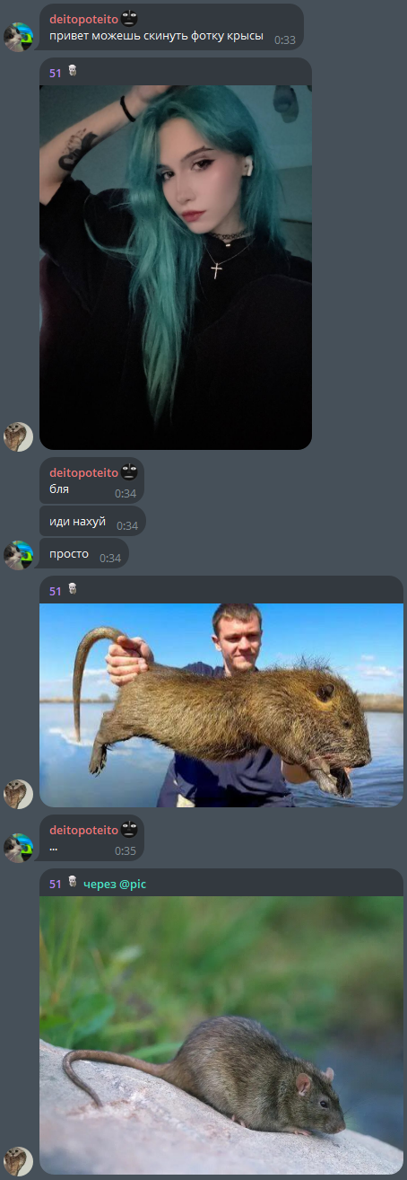 image - изображение на LocalQQ