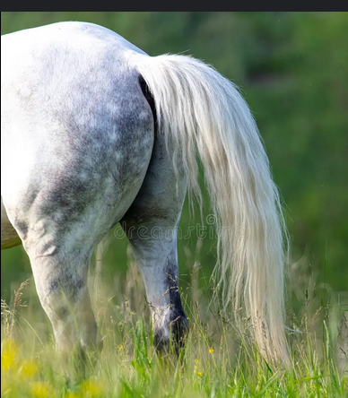 692782a9d9979_1764197033 - изображение на LocalQQ