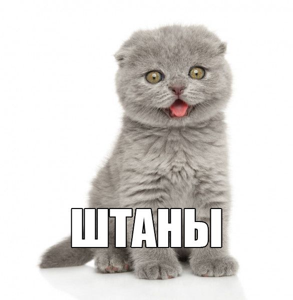 yi3VpR - изображение на LocalQQ