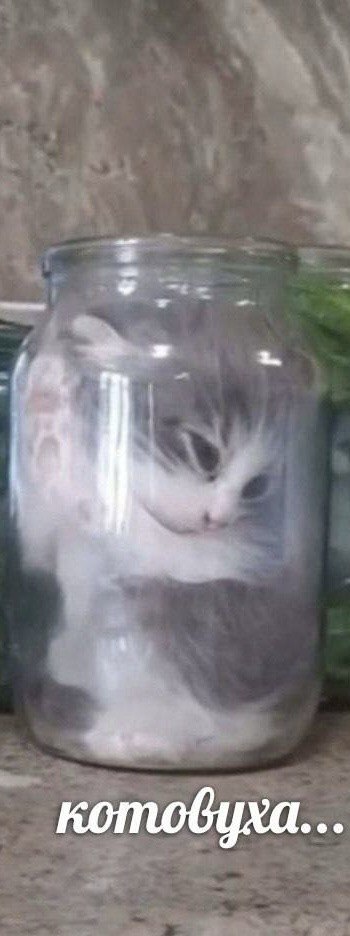 zFLzz7_1772919254 - изображение на LocalQQ