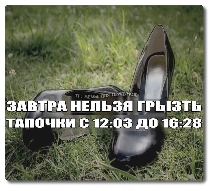 image - изображение на LocalQQ